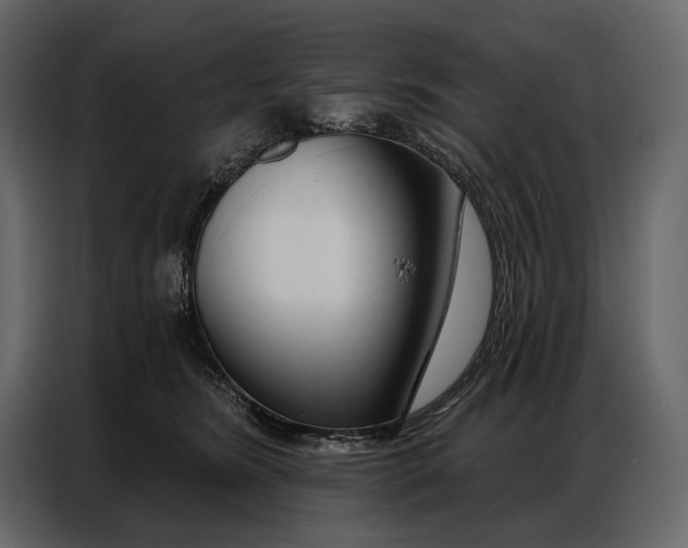 X0000086880420200705071206