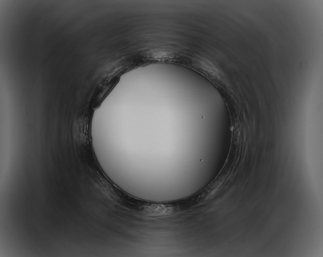 X0000086880421200705071205