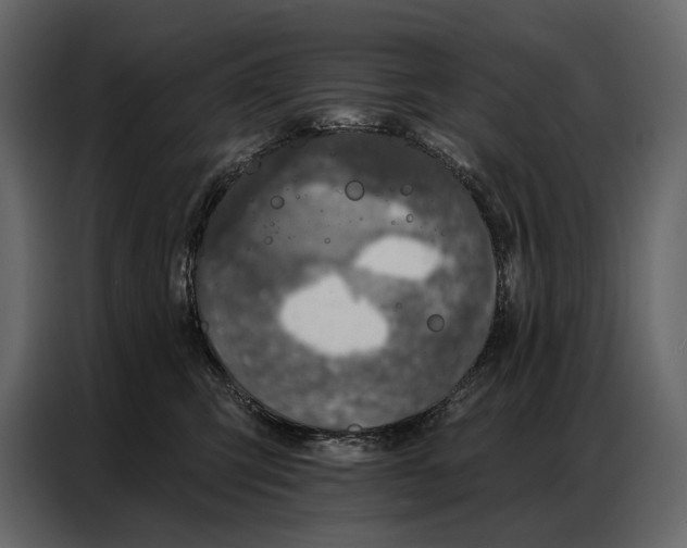 X0000086880423200705071205