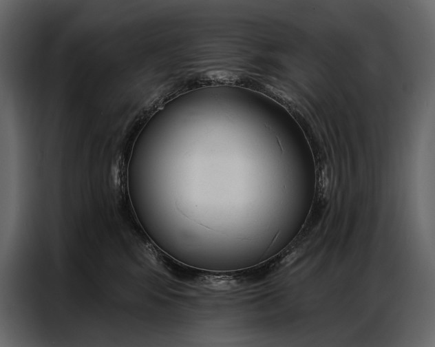 X0000086880424200705071205