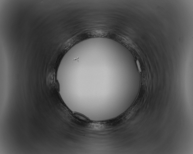 X0000086880425200705071205