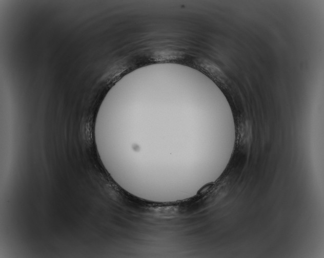 X0000086880426200705071205