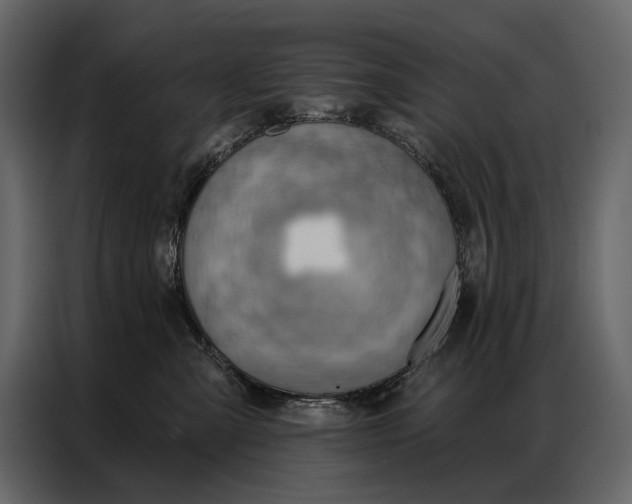 X0000086880427200705071205