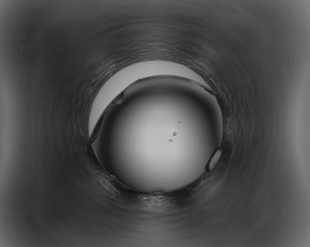 X0000086880428200705071205