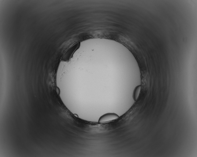 X0000086880430200705071205