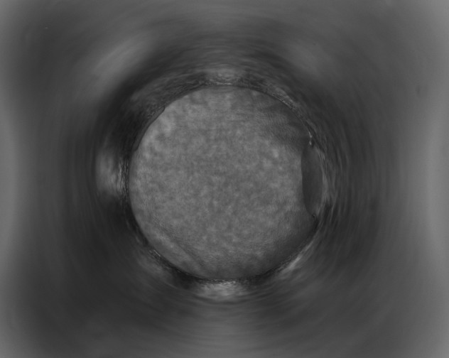 X0000086880431200705071205