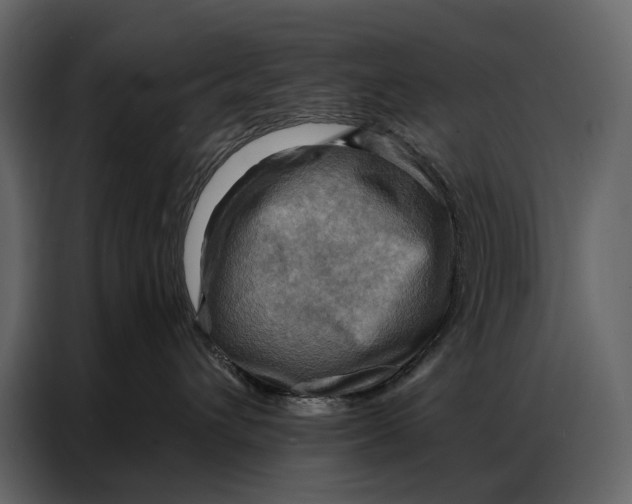 X0000086880432200705071205