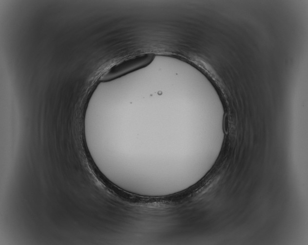 X0000086880433200705071205