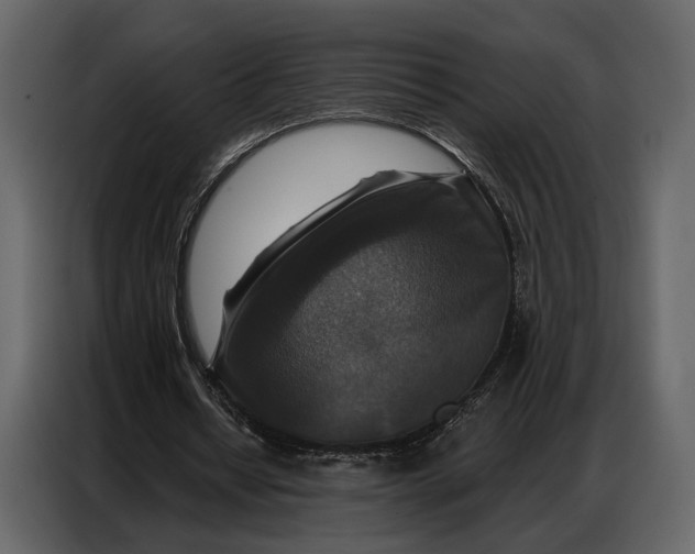 X0000086880434200705071205