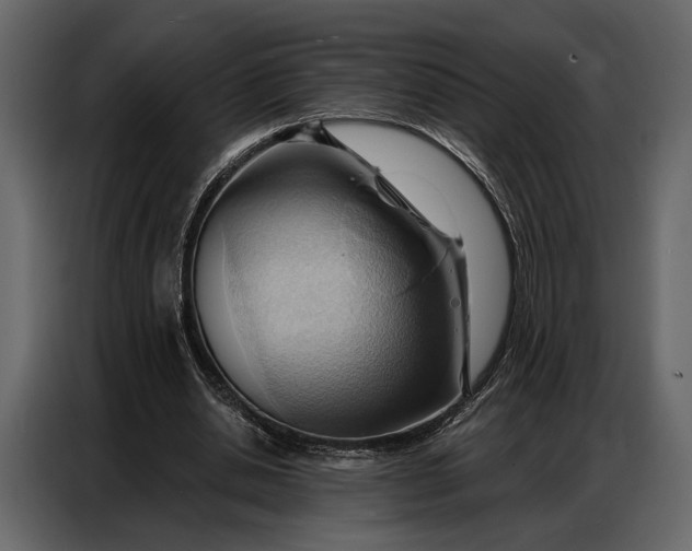 X0000086880438200705071205