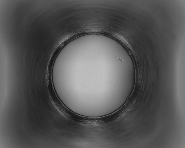 X0000086880439200705071205