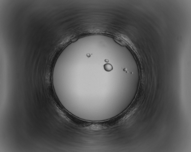 X0000086880441200705071205