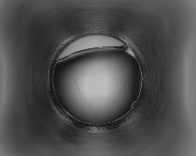 X0000086880442200705071205