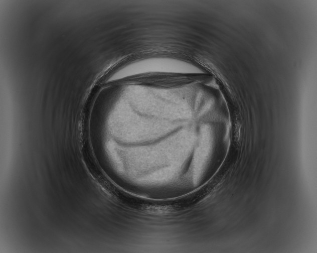 X0000086880444200705071205