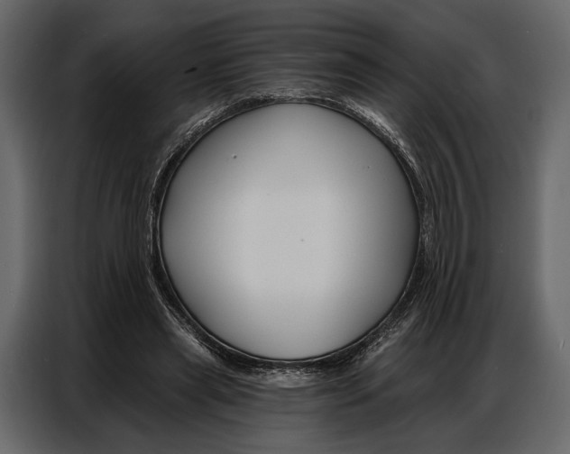 X0000086880445200705071205