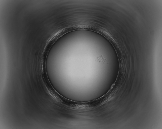 X0000086880446200705071205