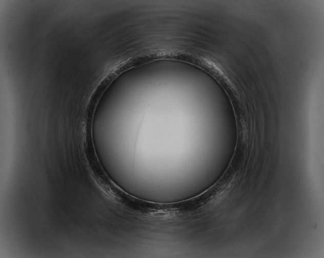 X0000086880447200705071205