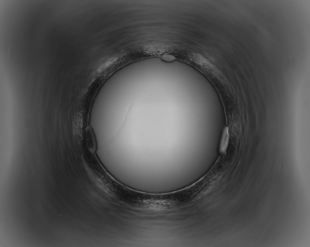 X0000086880448200705071205