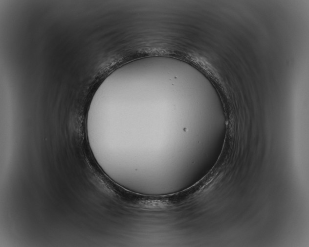 X0000086880449200705071205