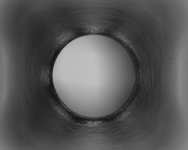 X0000086880450200705071205