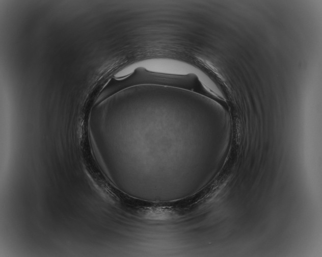 X0000086880451200705071205