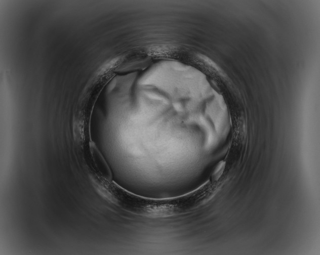 X0000086880452200705071205