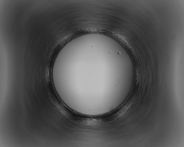 X0000086880453200705071205