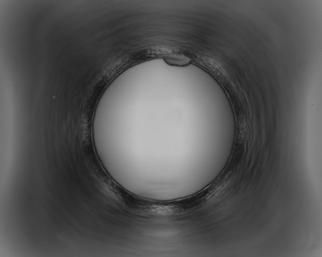 X0000086880457200705071205