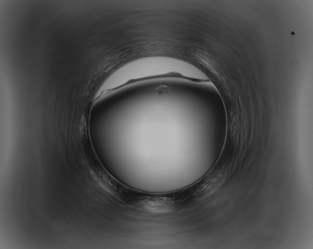 X0000086880459200705071205