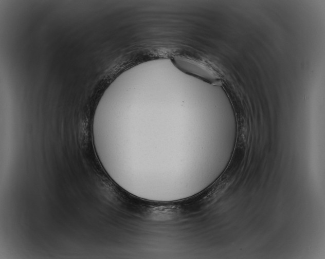 X0000086880461200705071205