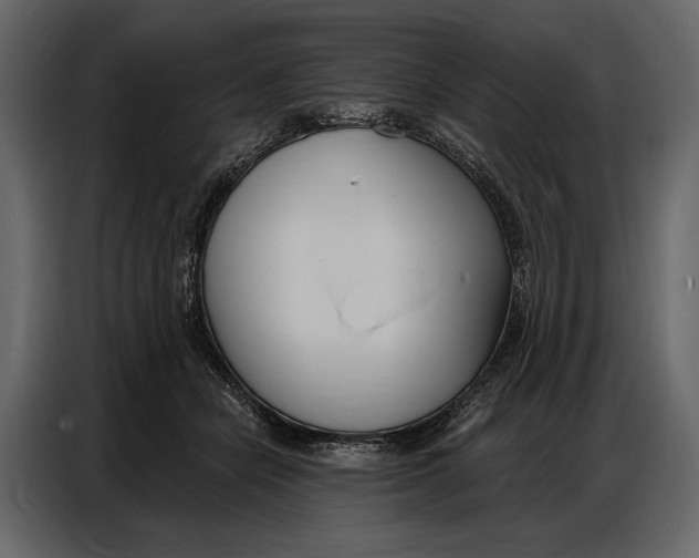 X0000086880462200705071205