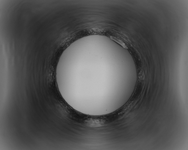 X0000086880464200705071205