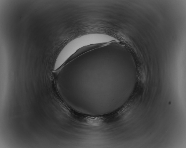 X0000086880465200705071205