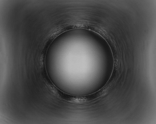 X0000086880466200705071205