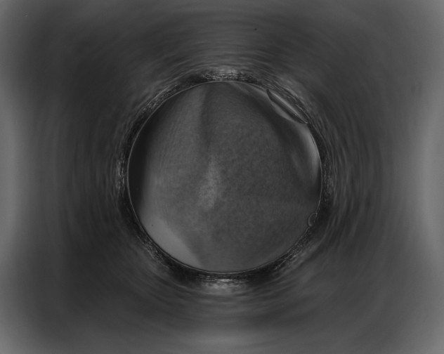 X0000086880467200705071205