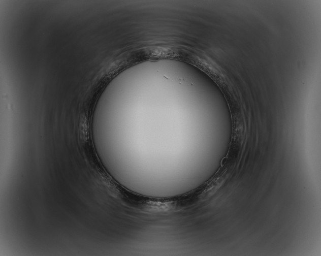 X0000086880469200705071205