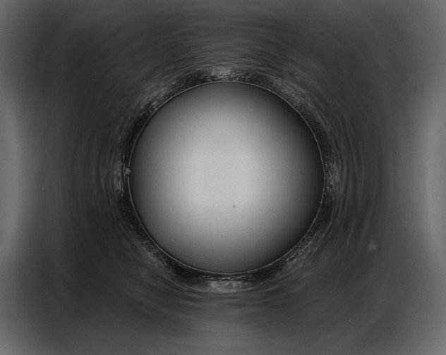 X0000086880470200705071205