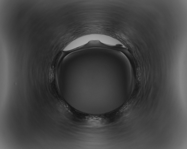 X0000086880471200705071205