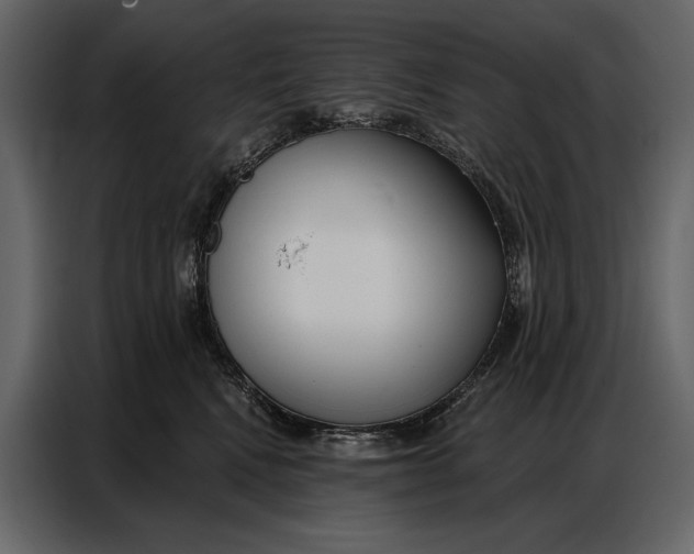 X0000086880472200705071205