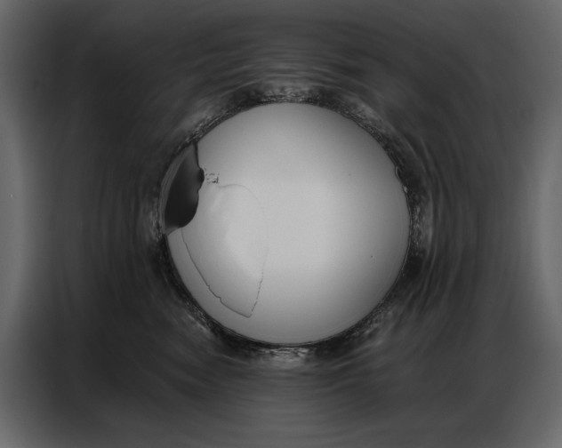 X0000086880474200705071205