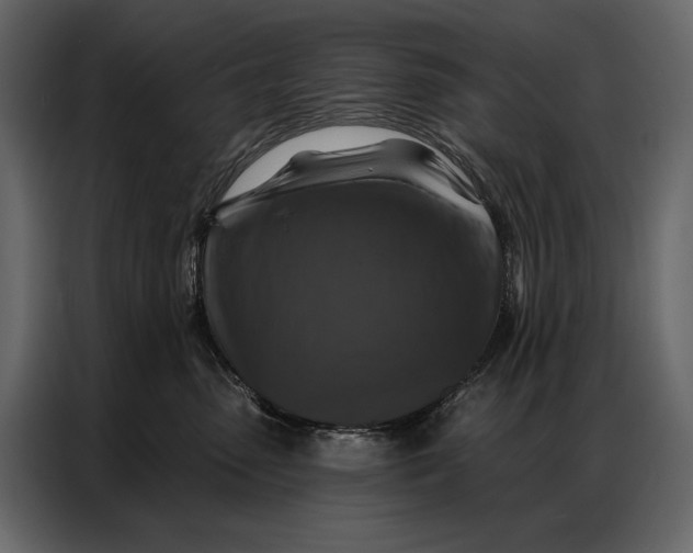 X0000086880475200705071205