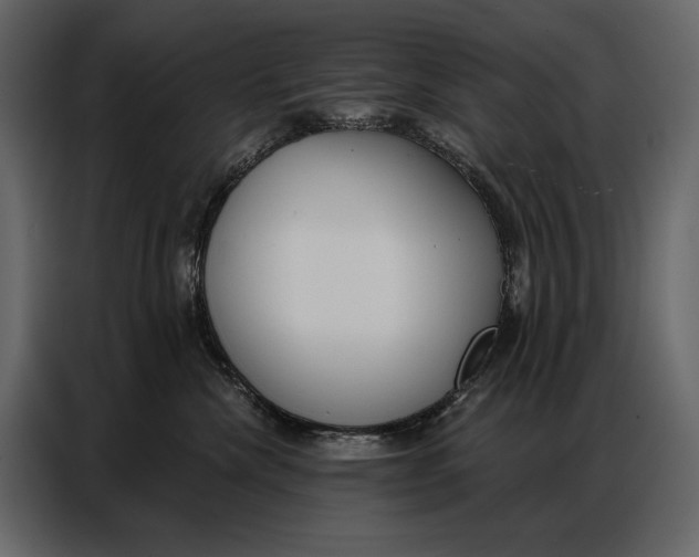 X0000086880476200705071205