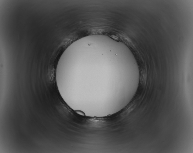 X0000086880477200705071205