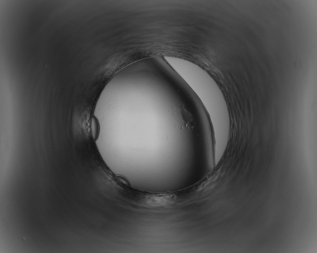 X0000086880479200705071205