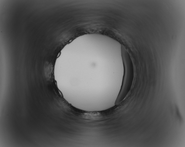 X0000086880480200705071205