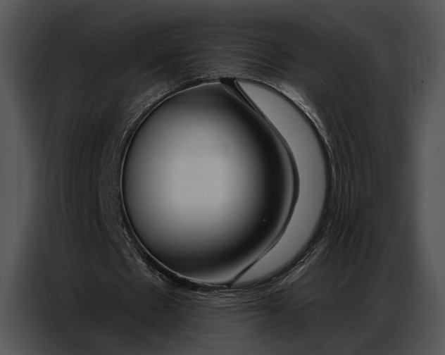 X0000086880481200705071205