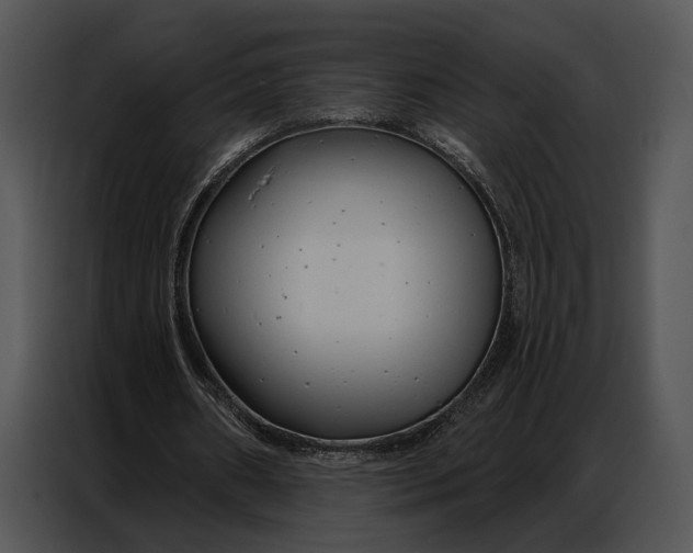 X0000086880482200705071205