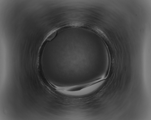 X0000086880484200705071205