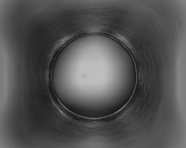 X0000086880485200705071205