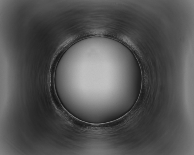 X0000086880486200705071205